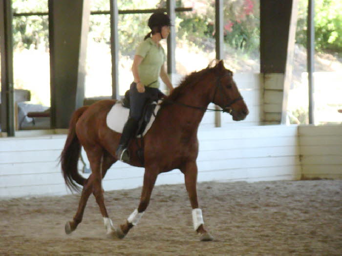 Abby and Tegan in a nice bending trot