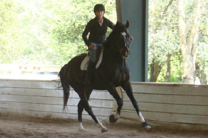 and the canter was so very big