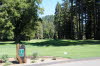 Golf in the Redwoods