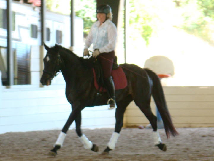 I suppose the trot could get even bigger, but the smile couldn't