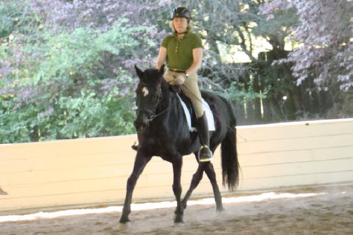 Adelheid and Whisper in young horse class