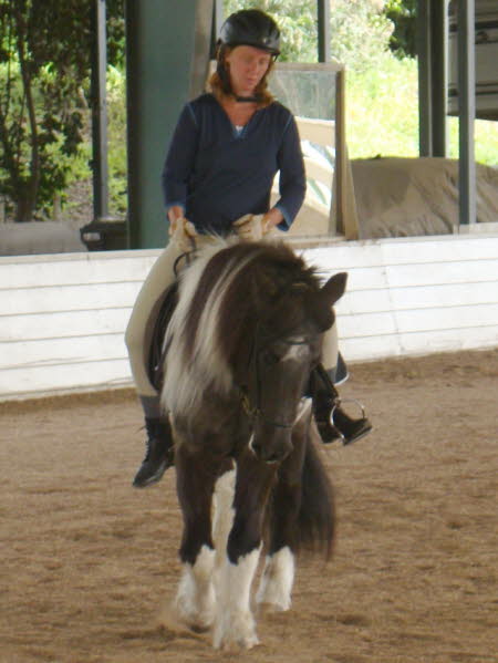 Alison got to ride this adorable Icelandic mare.