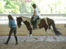 Amanda and Titian were at their first clinic