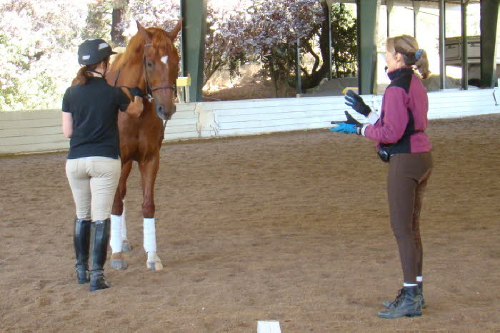 Corey and her DWB Overture (Bert) participated in their first clinic with Terry