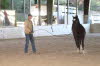 With all the activity and distractions, Tim and Devon still got the hang of the lead line exercises.