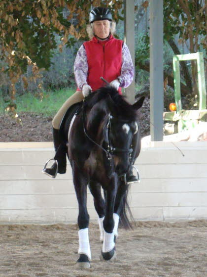 It looks to me like Adelheid and Whisper are concentrating on balance here. They look elegant!