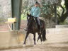 Melissa and Matey showed how a really fit, comfortable horse can progress.