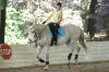 Talk about jump  this mare is huge!