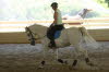 Ally was amazingly focused with a big Clydesdale playing in the water in the outdoor arena