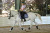 Day two Ally sported her gorgeous new saddle pad hey Lesley I want one just like that!