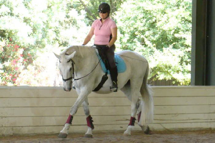 DSC03590Birgit	Birgit shows that even at the walk Claire is a lot of horse