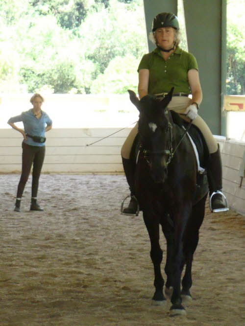 Adelheid spend more time at the walk on day two and worked some shoulder-in with Whisper