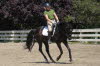 Adelheid continued with canter work outside