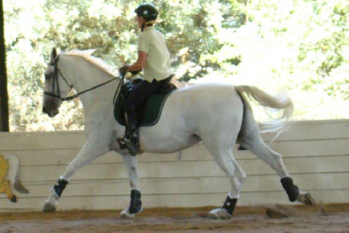 Liz and Ally at nearly the stretchiest part of canter