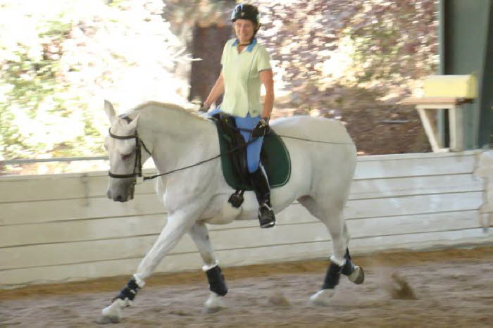 Liz and Ally did lots of canter work  the reach Ally is showing here is impressive