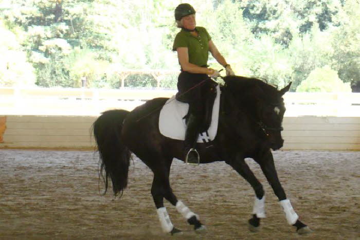 I did say this was a canter clinic and Whisper had some impressive moments