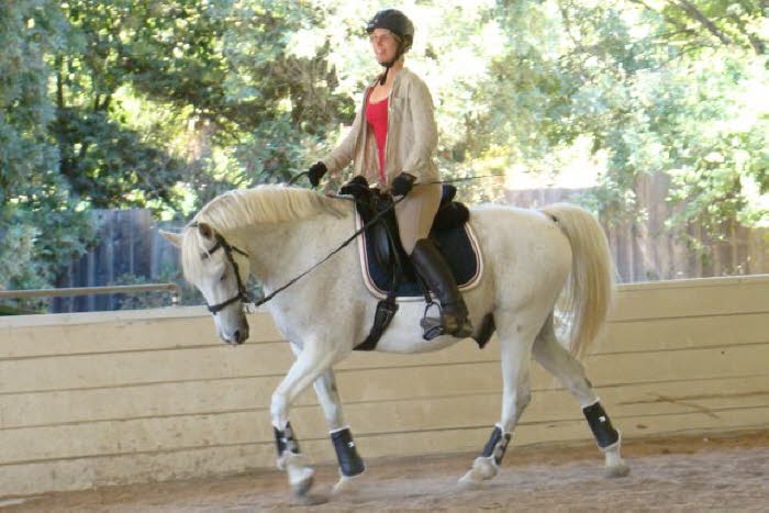 Nancy got to ride Binky this clinic