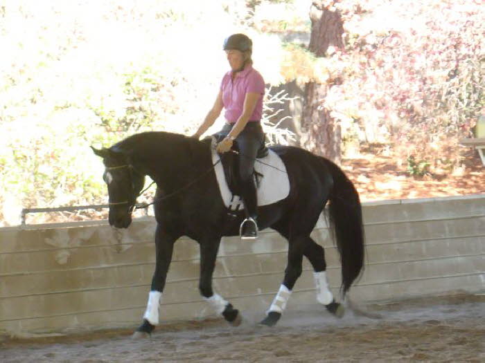 Adelheid and Whisper at the floating trot.