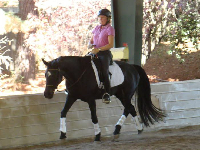 Whisper seemed to find it more work to organize the legs in trot canter transitions.