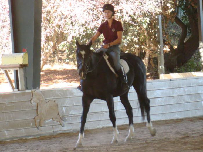 Anne Greco joined us for the first time on Indy, a 6 year old Thoroughbred