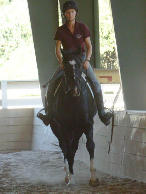 This pair does well at Eventing and she is working to improve his dressage skills.