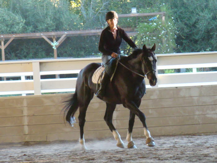 By day two Indi seemed more relaxed and Anne did very well with Terrys methods.