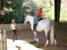 At lunch time  it suddenly seemed like Romy and Zoe were ready for their first try at mounting.