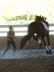 Whisper displayed some impressive aerial acrobatics on day two