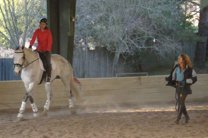 Terry lent energy to help Romy trot Zoe under saddle.