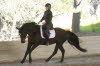 Adelheid and Whisper did lots of canter on day 2