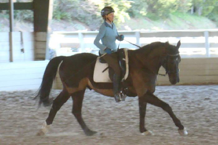 Terry put Robin through his paces with some canter at the end of the day