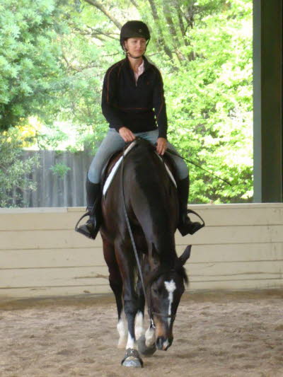 Anne and Indy were back and he seemed to appreciate the opportunity to relax as he worked