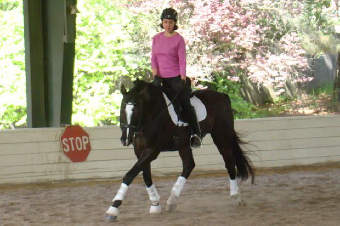 Romy got some impressive trot from Corado on her second ride of the day