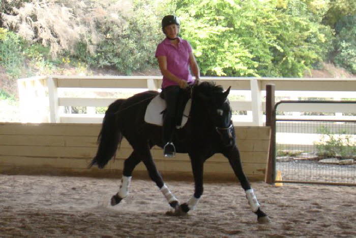 Adelheid winding in the circle to try for some lengthening at trot