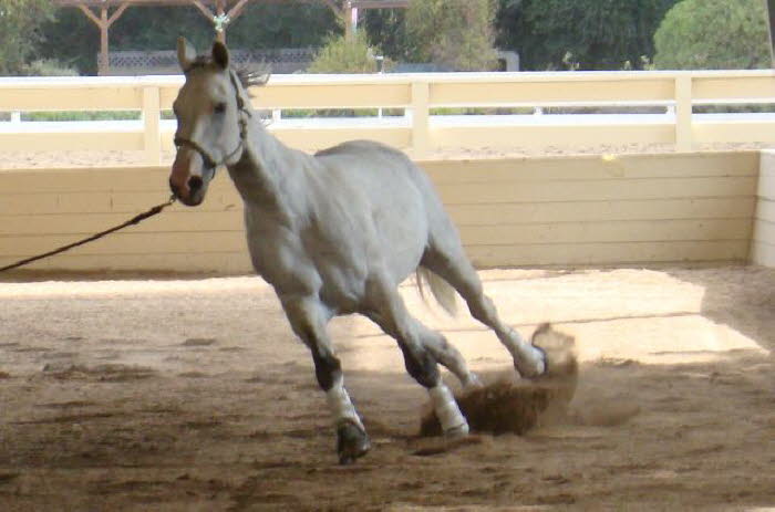 Zoe started with a little anxiety to burn off