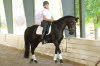 Lateral work seemed to be the theme this clinic and Whisper took her turn