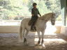 Claire is beginning to look like a dressage horse in this lateral work – so hard for her