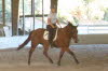 Elise brought Boomer – who said Quarter Horses don’t have the movement for dressage