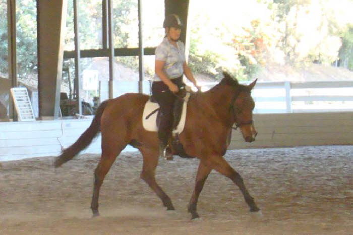 Elise brought Boomer – who said Quarter Horses don’t have the movement for dressage