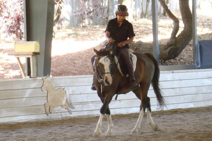 Sheila Kumar brought her latest endurance mount – a gelding this time!