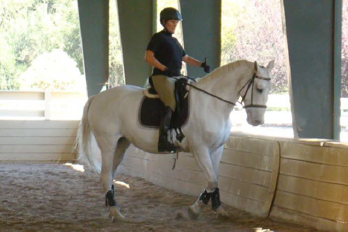 Liz and Ally did lots of lateral prep on day two  this is getting so much better