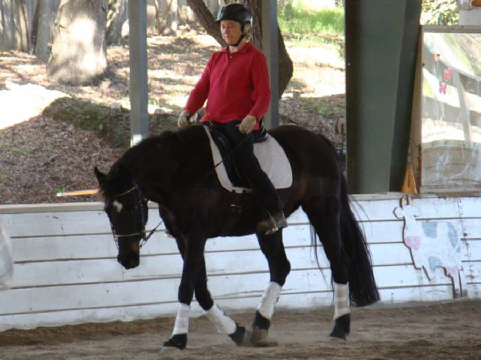 Adelheid and Whisper are working through injuries as well, but Whisper looked good during ride one.