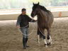 Poll and shoulder yields were prep for work under saddle.