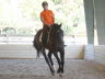 Elise suppling Robin before some intense lead work at the canter.