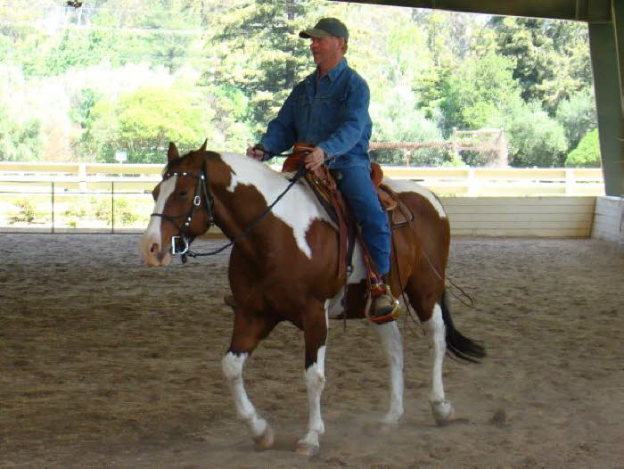 Badger learned to put a little more forward into his gaits