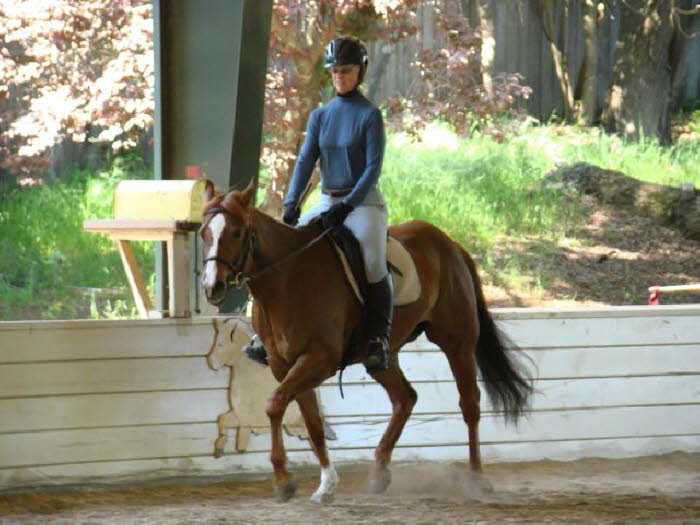 Janie looks more like a dressage dame each time we see her