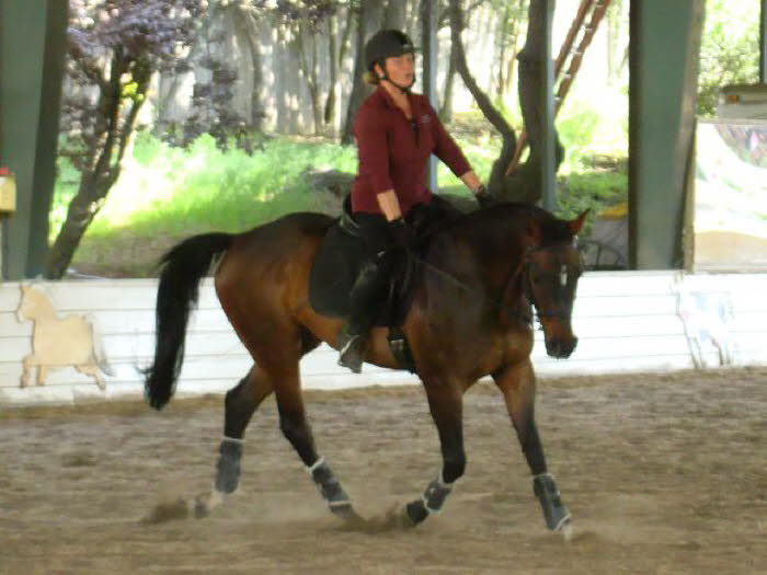 Impressive softness in this lovely looking trot, Anne