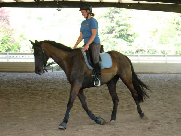 This trot gets a big smile