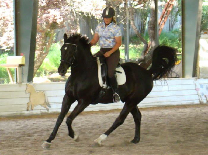 Since Farah declined to attend, Robin and Elise got in lots of canter (with attitude)