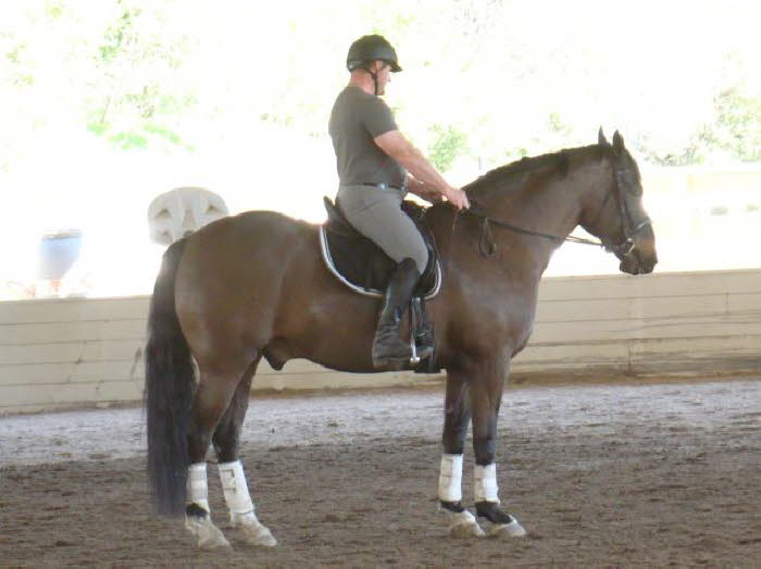 Peter and Seeker working on the halt transition